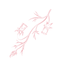 南宫娱乐3